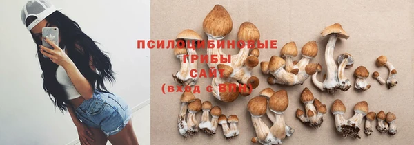 герыч Козловка